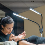 Daylight Gemini Lamp