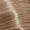 9.13 Very Light Blonde Ash Gold