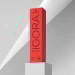 Schwarzkopf Professional Igora Royal Permanent Haarkleuring Mix 60ml E1