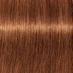Schwarzkopf Professional Igora Royal Take Over 7-76 Medium Blond Koper Chocolade 60ml