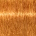 Schwarzkopf Professional Igora Vibrance Permanent Haarkleuring 60ml 9.7 Extra Lichtblonde Koper