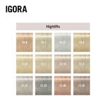 Schwarzkopf Professional Igora Royal High Lift 60ml 10-1