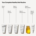 Olaplex The Healthy Hair Discovery Set V2
