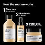 L'Or&eacute;al Professionnel Absolut Repair Cadeauset Trio