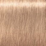 Schwarzkopf Professional Igora Royal Highlifts Permanent Haarkleuring 60ml 12-49