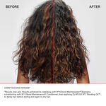 Olaplex The Healthy Hair Discovery Set V2