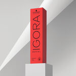 Schwarzkopf Professional Igora Royal Permanent Haarkleuring 60ml 6-00