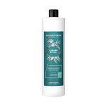Eug&egrave;ne Perma Carmen Rituel Activator Cream 20V 1L