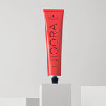 Schwarzkopf Professional Igora Royal Permanent Haarkleuring 60ml 6-00