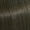5/1 Licht Bruin As