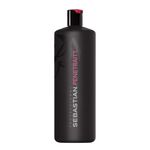 Sebastian Professional  Penetraitt Shampoo 1L