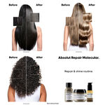 L'Or&eacute;al Professionnel S&eacute;rie Expert Absolute Repair Molecular Bi-Phase Haar Olie 90ml